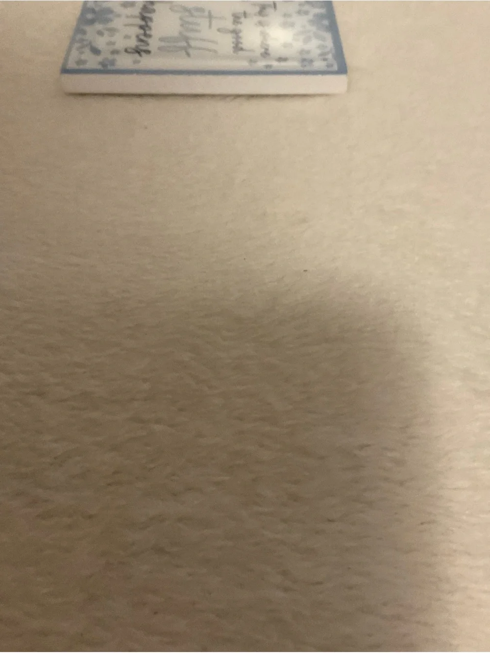 Trueliving Magnet in Black and White